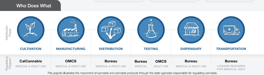 Who Does What In The Cannabis Industry Infographic